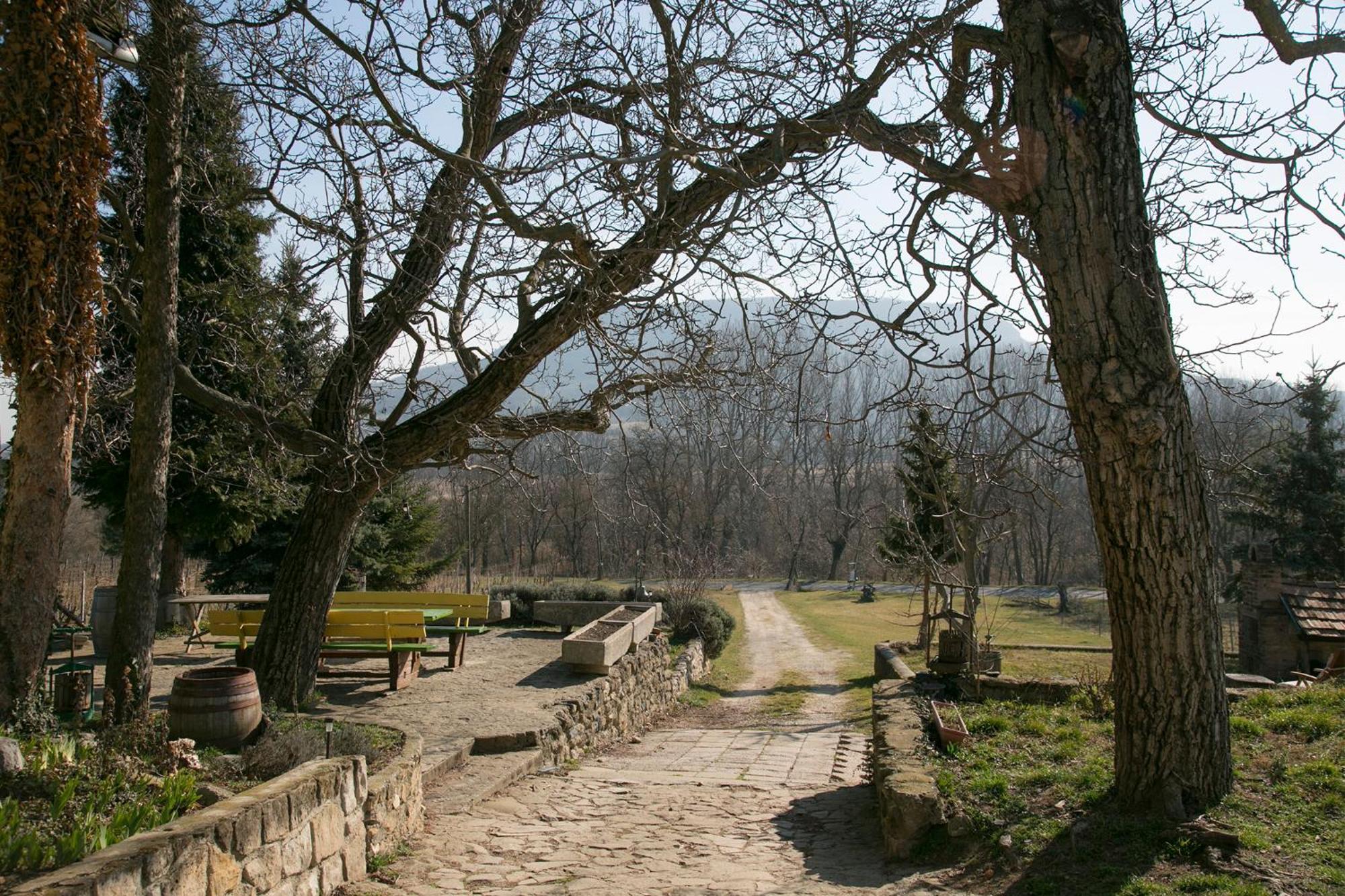 Güns Vendégház Szigliget Extérieur photo